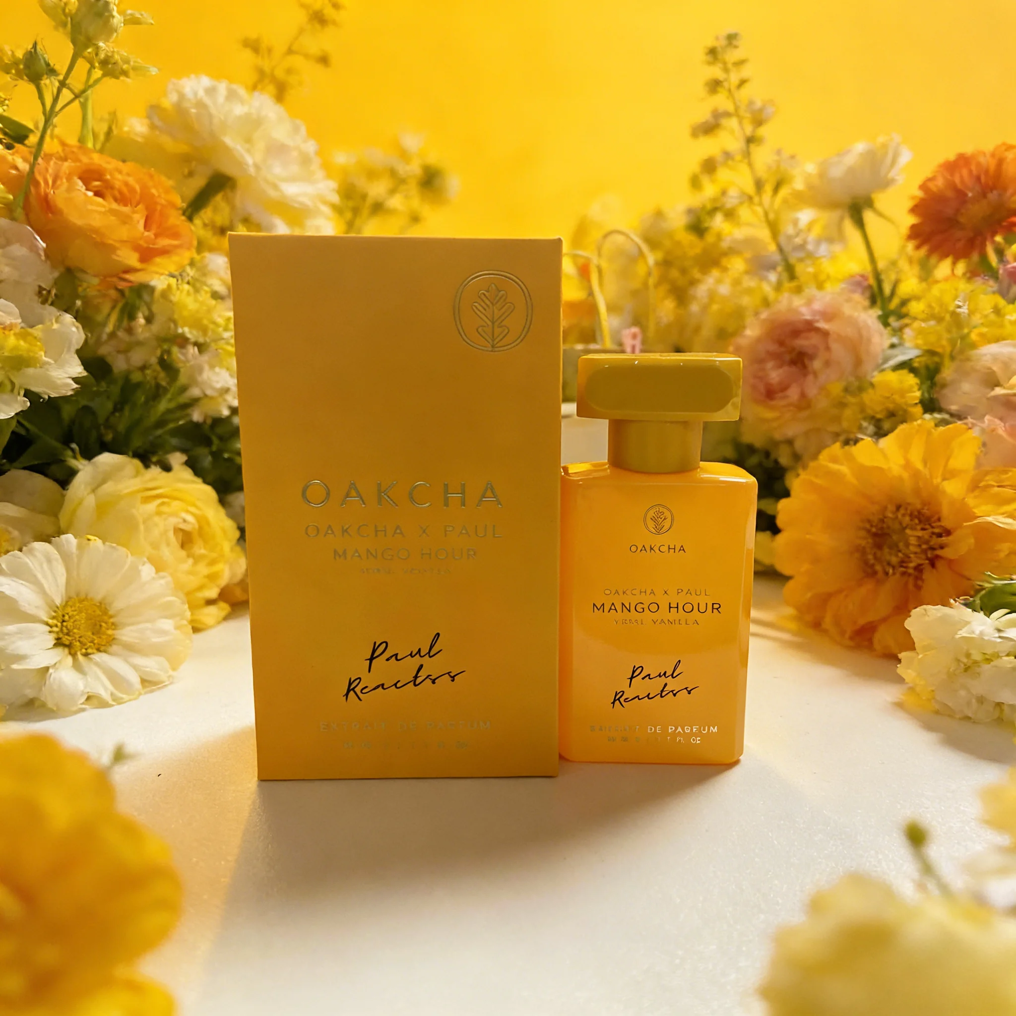 OAKCHA Serie Herren- & Damenpa – Perfume Fragrance Lasting Bewertung und Preis