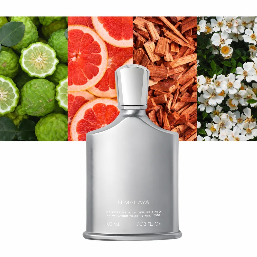 Aventus Duft für Männer 100ml  – Perfume Fragrance Lasting Bewertung und Preis